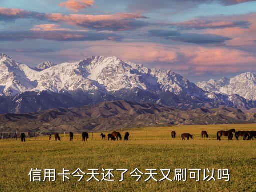 偶尔信用卡刚还款后又刷了,信用卡偶尔一个月最低还款可以吗