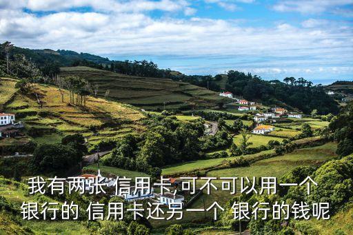 其它银行可以还建设银行信用卡吗,建设银行转其它银行手续费