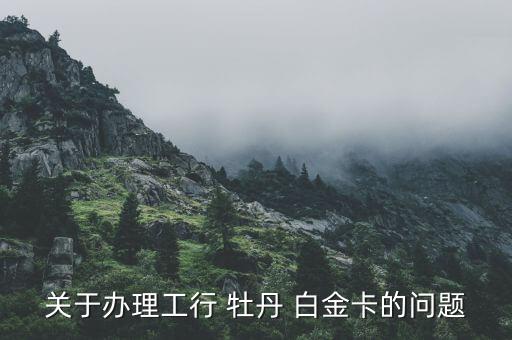 关于办理工行 牡丹 白金卡的问题