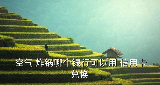  空气 炸锅哪个银行可以用 信用卡兑换