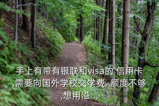 手上有带有银联和visa的 信用卡,需要向国外学校交学费, 额度不够,想用溢...