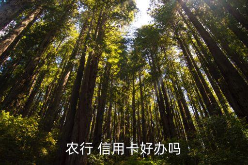农行 信用卡好办吗