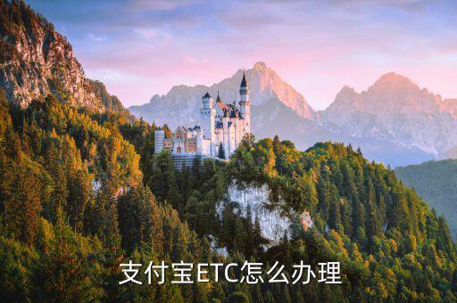  支付宝ETC怎么办理