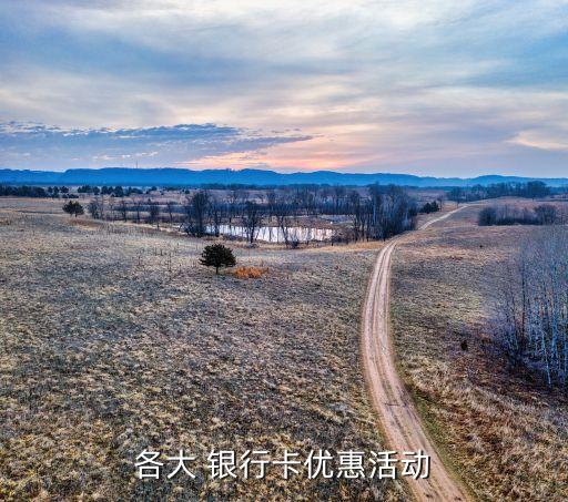 各大 银行卡优惠活动