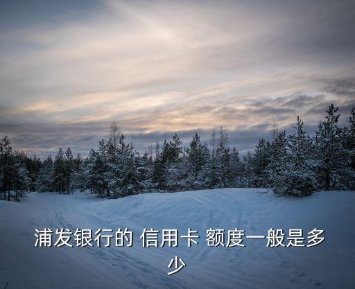  浦发银行的 信用卡 额度一般是多少