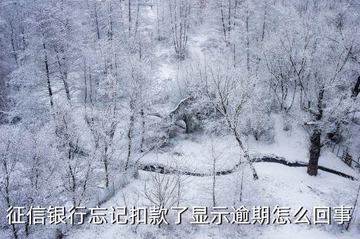 征信银行忘记扣款了显示逾期怎么回事