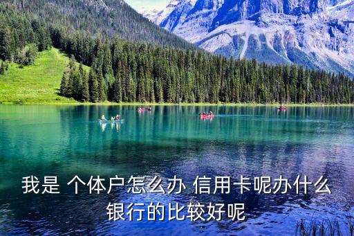 我是 个体户怎么办 信用卡呢办什么银行的比较好呢