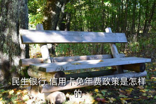  民生银行 信用卡免年费政策是怎样的