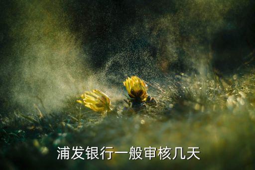  浦发银行一般审核几天