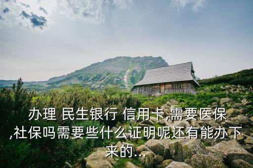  办理 民生银行 信用卡,需要医保,社保吗需要些什么证明呢还有能办下来的...