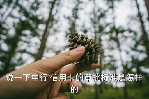 说一下中行 信用卡的审批标准是怎样的