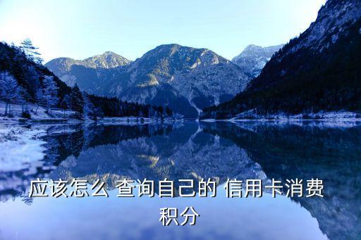 应该怎么 查询自己的 信用卡消费 积分