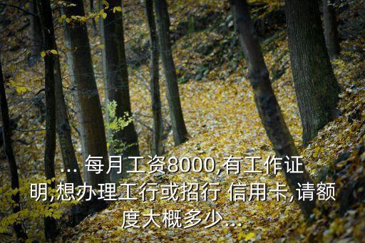 ... 每月工资8000,有工作证明,想办理工行或招行 信用卡,请额度大概多少...