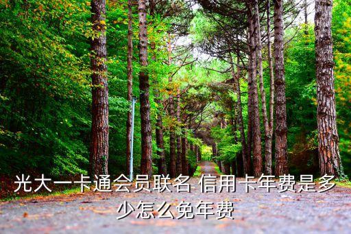 光大一卡通会员联名 信用卡年费是多少怎么免年费