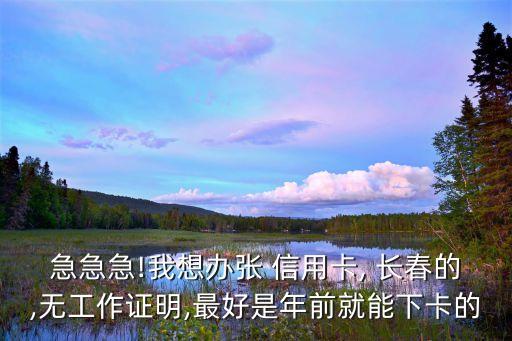急急急!我想办张 信用卡, 长春的,无工作证明,最好是年前就能下卡的