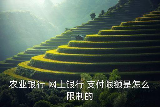 农业银行 网上银行 支付限额是怎么限制的