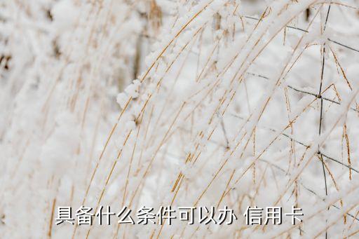 具备什么条件可以办 信用卡