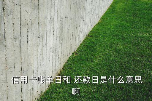  信用卡账单日和 还款日是什么意思啊
