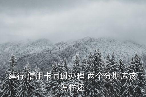 建行 信用卡同时办理 两个分期应该怎样还