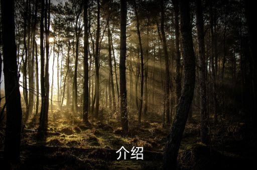 介绍