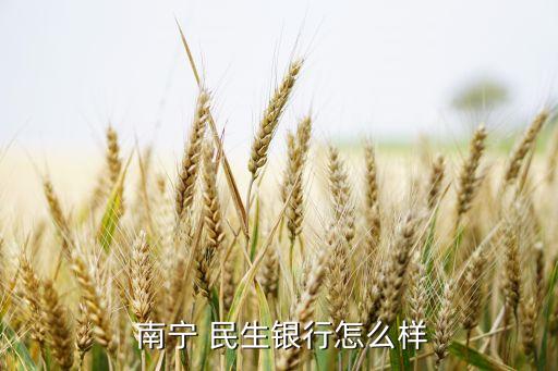  南宁 民生银行怎么样