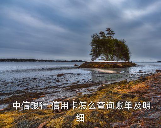 查查办理的中信银行信用卡,中信银行信用卡申请办理在线申请