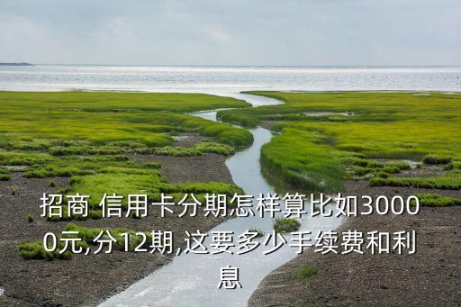 招商 信用卡分期怎样算比如30000元,分12期,这要多少手续费和利息
