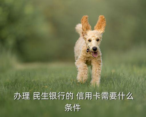  办理 民生银行的 信用卡需要什么条件