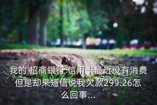 我的 招商银行 信用卡最近没有消费但是却来短信说我欠款299.26怎么回事...
