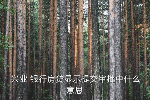  兴业 银行房贷显示提交审批中什么意思