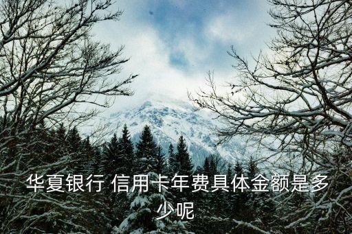  华夏银行 信用卡年费具体金额是多少呢