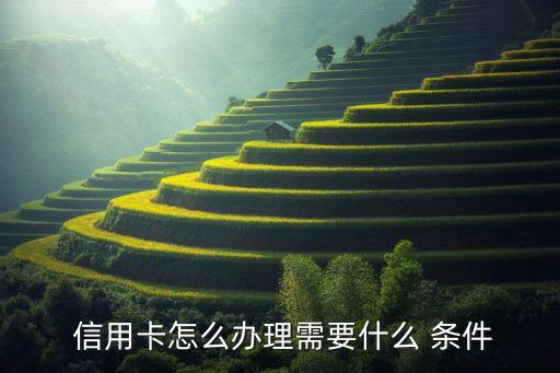 日本信用卡申请条件有哪些,建设银行信用卡申请条件有哪些