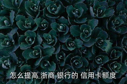 浙商银行信用卡灵溪