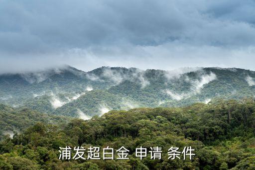 浦发超白金 申请 条件