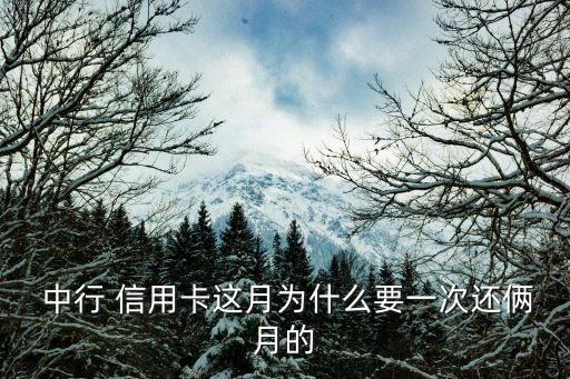  中行 信用卡这月为什么要一次还俩月的