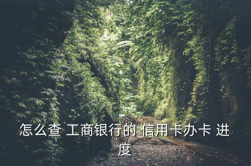 怎么查 工商银行的 信用卡办卡 进度