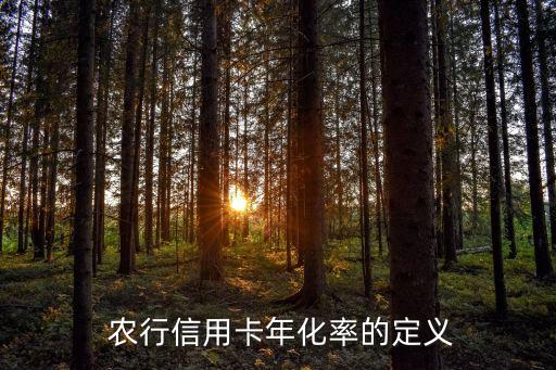 农行信用卡年化率的定义