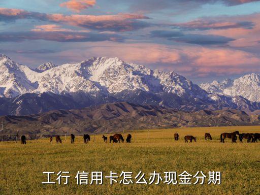  工行 信用卡怎么办现金分期