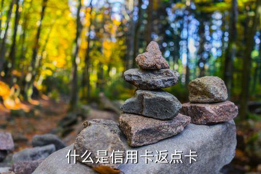 什么是信用卡返点卡