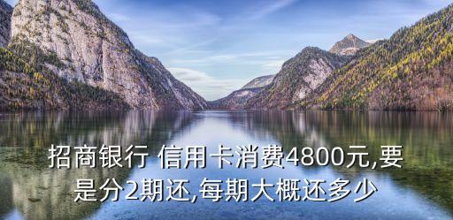 招商银行 信用卡消费4800元,要是分2期还,每期大概还多少