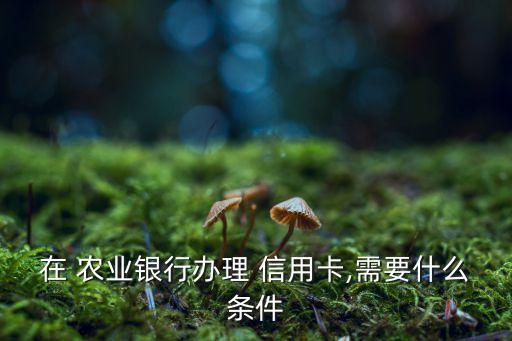 在 农业银行办理 信用卡,需要什么条件