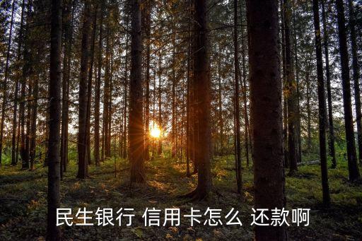  民生银行 信用卡怎么 还款啊