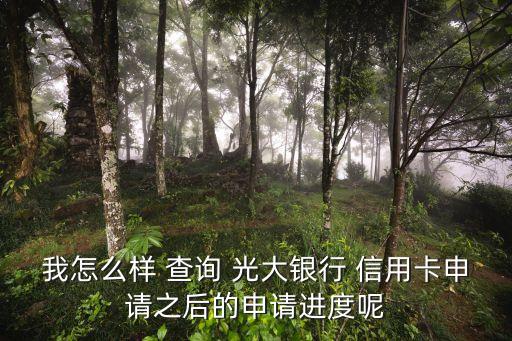 我怎么样 查询 光大银行 信用卡申请之后的申请进度呢
