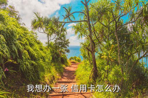 我想办一张 信用卡怎么办