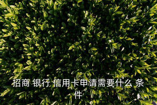 招商 银行 信用卡申请需要什么 条件