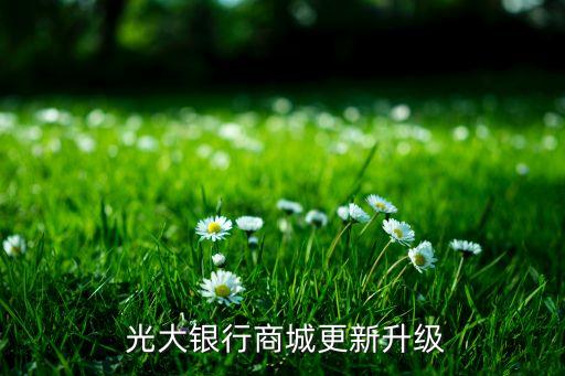 光大银行商城更新升级