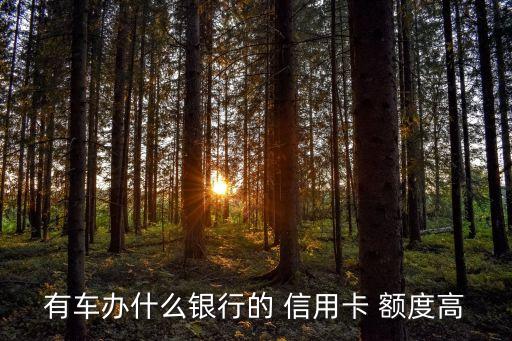 有车办什么银行的 信用卡 额度高