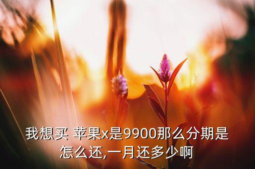 我想买 苹果x是9900那么分期是怎么还,一月还多少啊