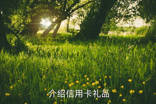 介绍信用卡礼品