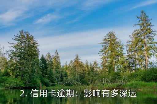 信用卡逾期卓明，信用卡逾期影响深远